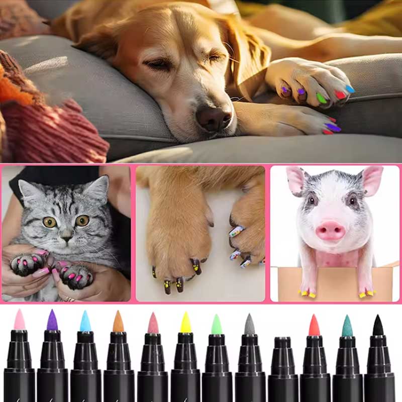 pen seni kuku anjing peliharaan